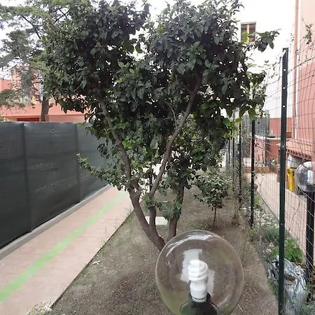 Elegante Nuovissimo *